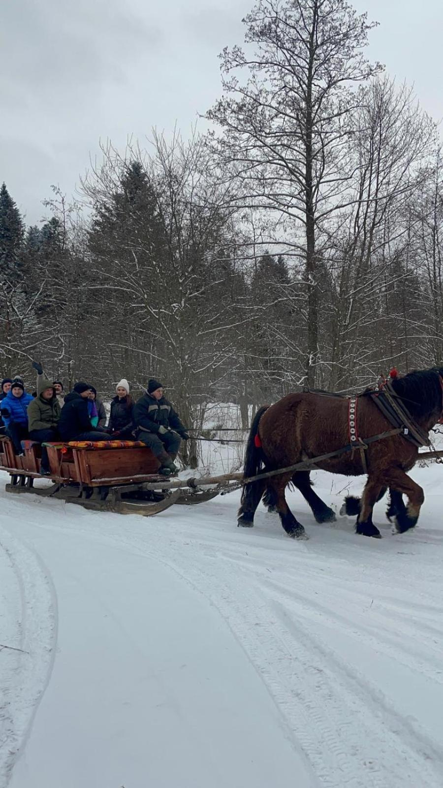 Chatka Wagabundy Wola Michowa Buitenkant foto