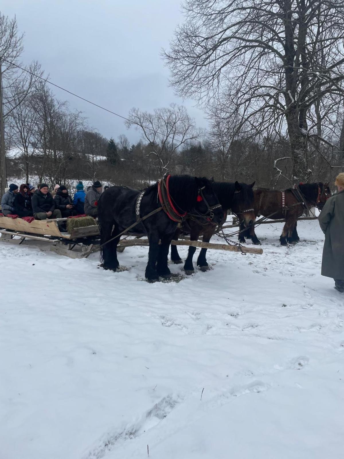 Chatka Wagabundy Wola Michowa Buitenkant foto