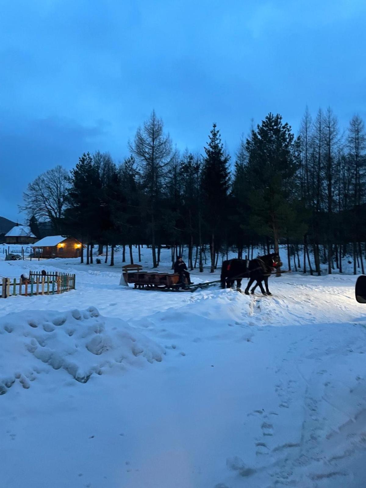 Chatka Wagabundy Wola Michowa Buitenkant foto