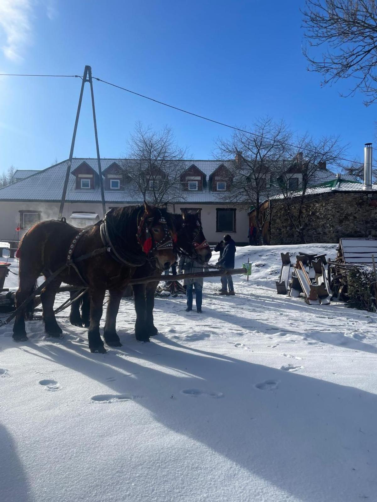 Chatka Wagabundy Wola Michowa Buitenkant foto