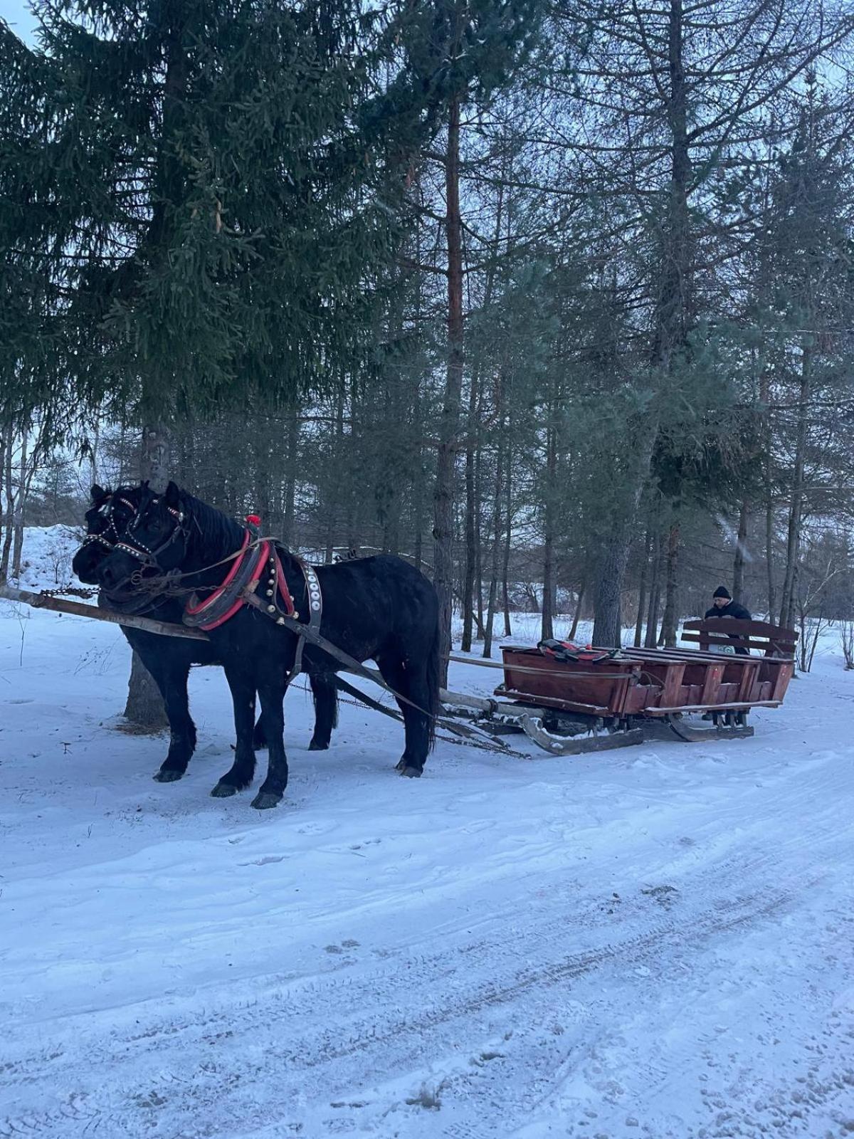 Chatka Wagabundy Wola Michowa Buitenkant foto